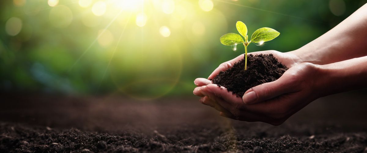Padworth, Berkshire sustainability