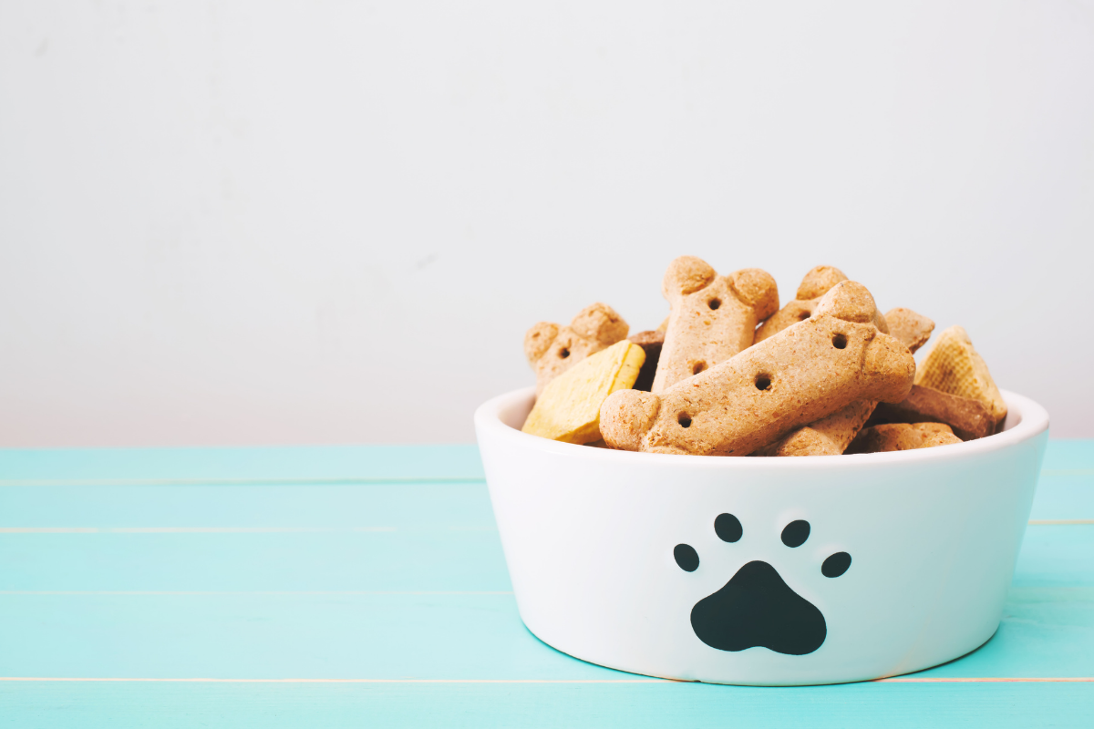 Dog friendly restaurant Padworth, Berkshire